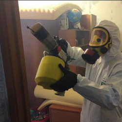 Уничтожение клопов в квартире. Баксан